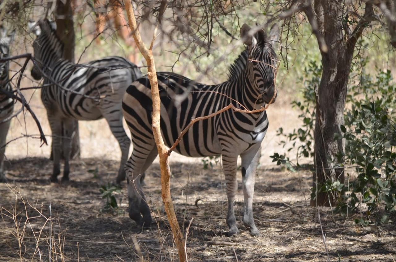 ホテルTerre D'Afrique Popenguine エクステリア 写真
